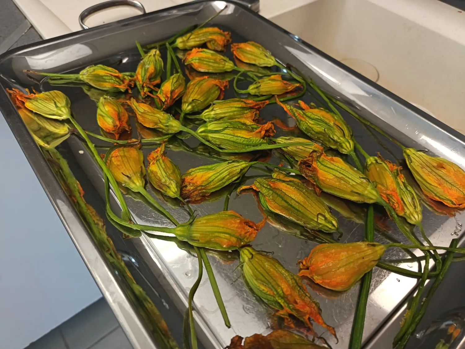 Fleurs de courgette sur une plaque inox